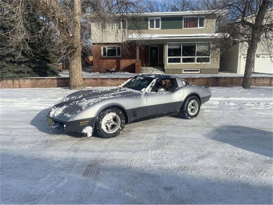 1981 Chevrolet Corvette C3 - Image 6 of 13