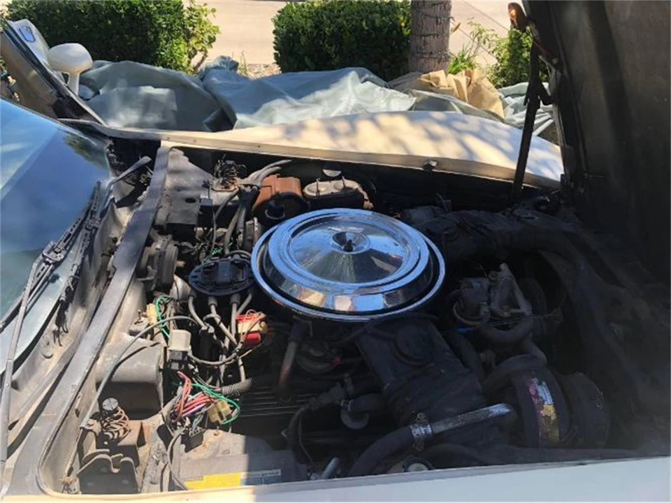 1981 Chevrolet Corvette C3 - Image 10 of 13