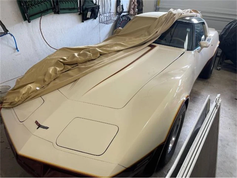 1981 Chevrolet Corvette C3 - Image 2 of 29
