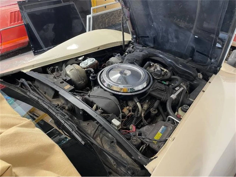 1981 Chevrolet Corvette C3 - Image 23 of 29