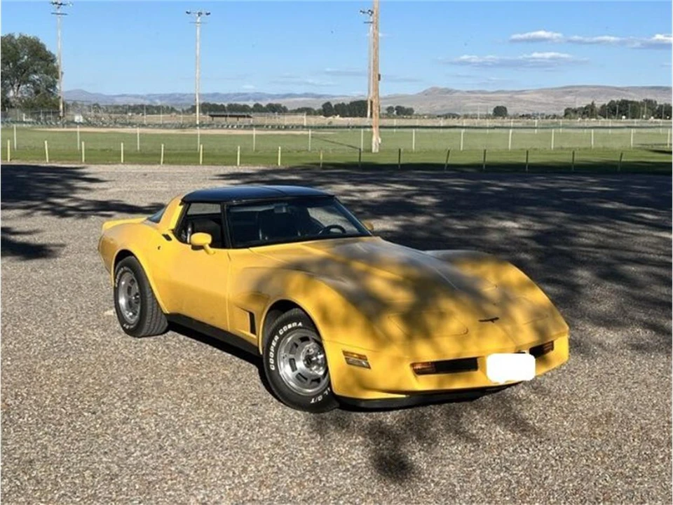 1981 Chevrolet Corvette C3 - Image 9 of 14