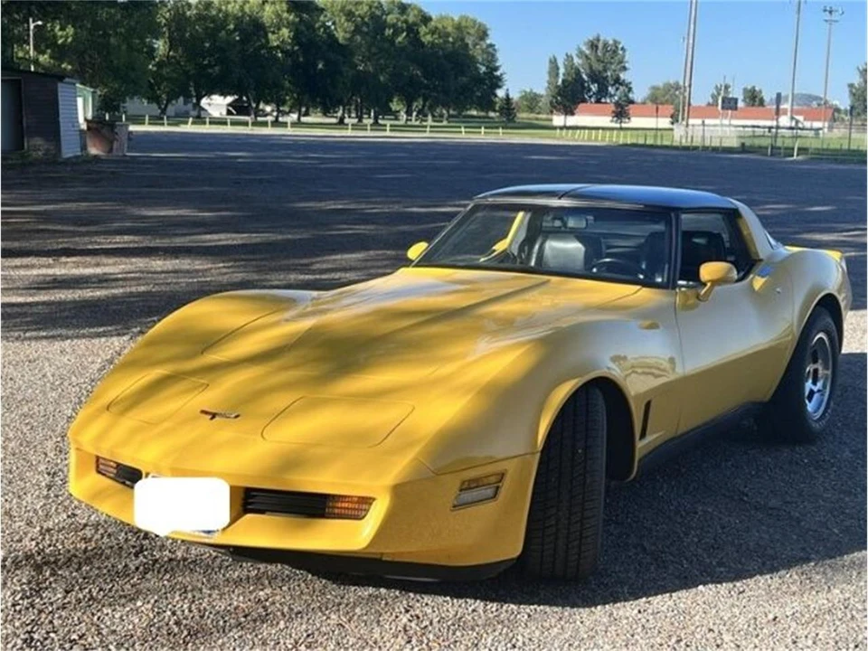 1981 Chevrolet Corvette C3 - Image 2 of 14
