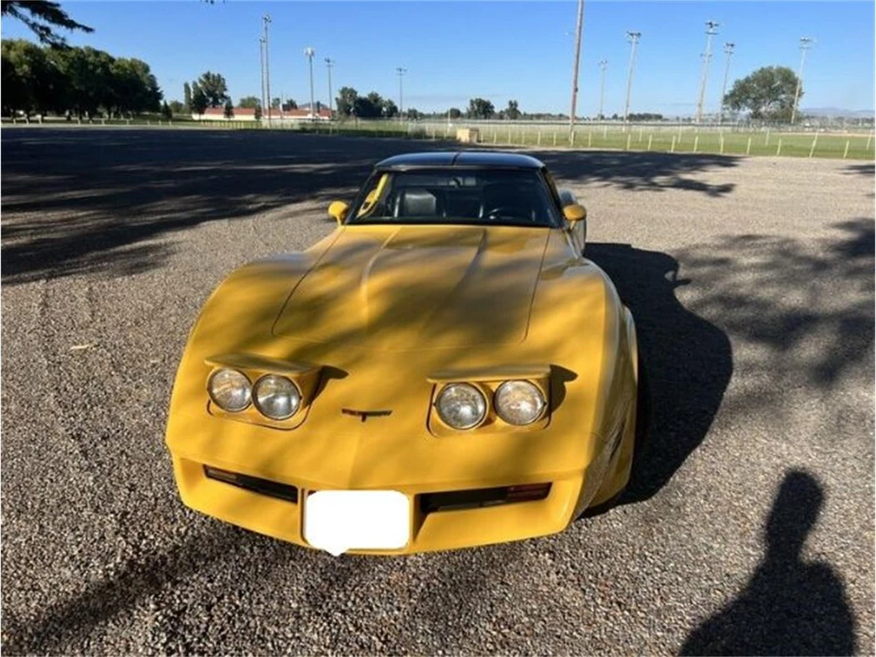 1981 Chevrolet Corvette C3 - Image 7 of 14