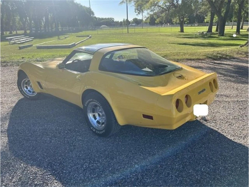 1981 Chevrolet Corvette C3 - Image 8 of 14