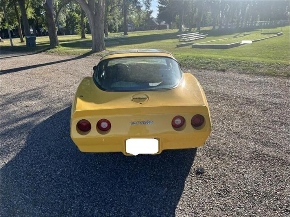 1981 Chevrolet Corvette C3 - Image 6 of 14