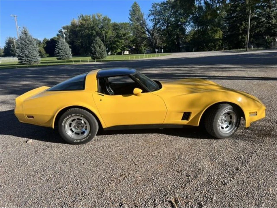 1981 Chevrolet Corvette C3 - Image 13 of 14