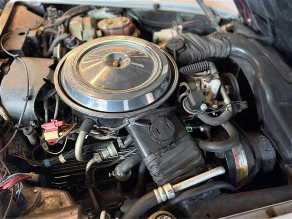 1981 Chevrolet Corvette C3 - Image 3 of 29