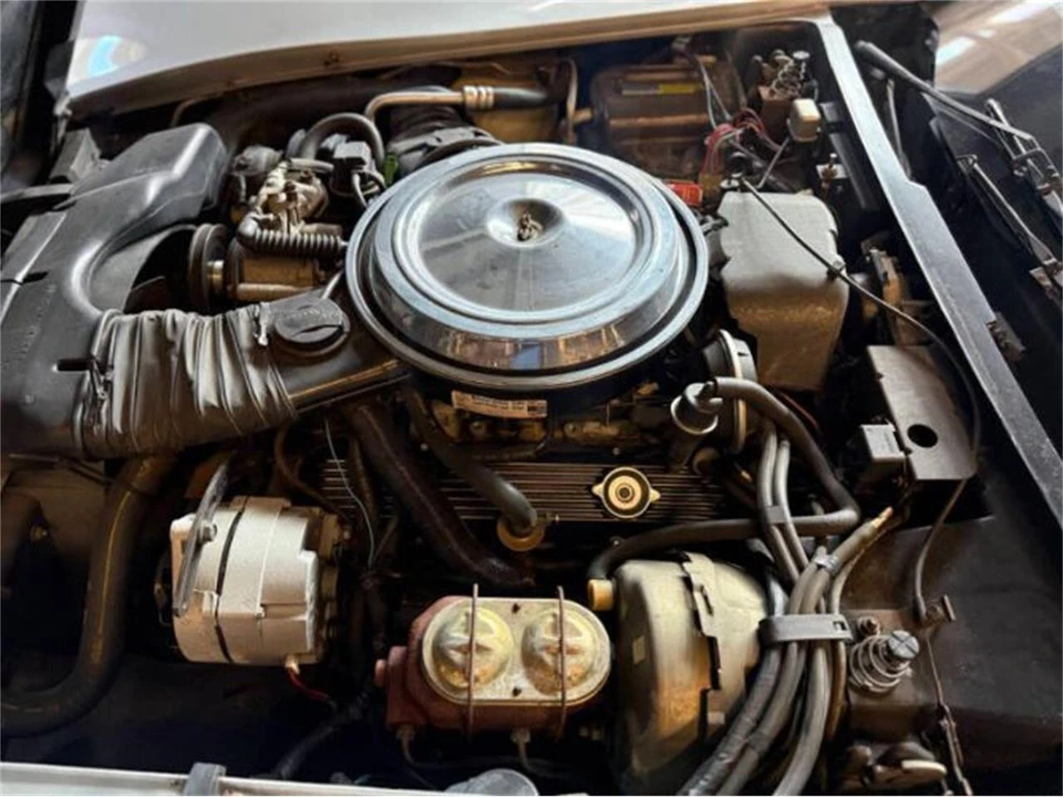1981 Chevrolet Corvette C3 - Image 4 of 29