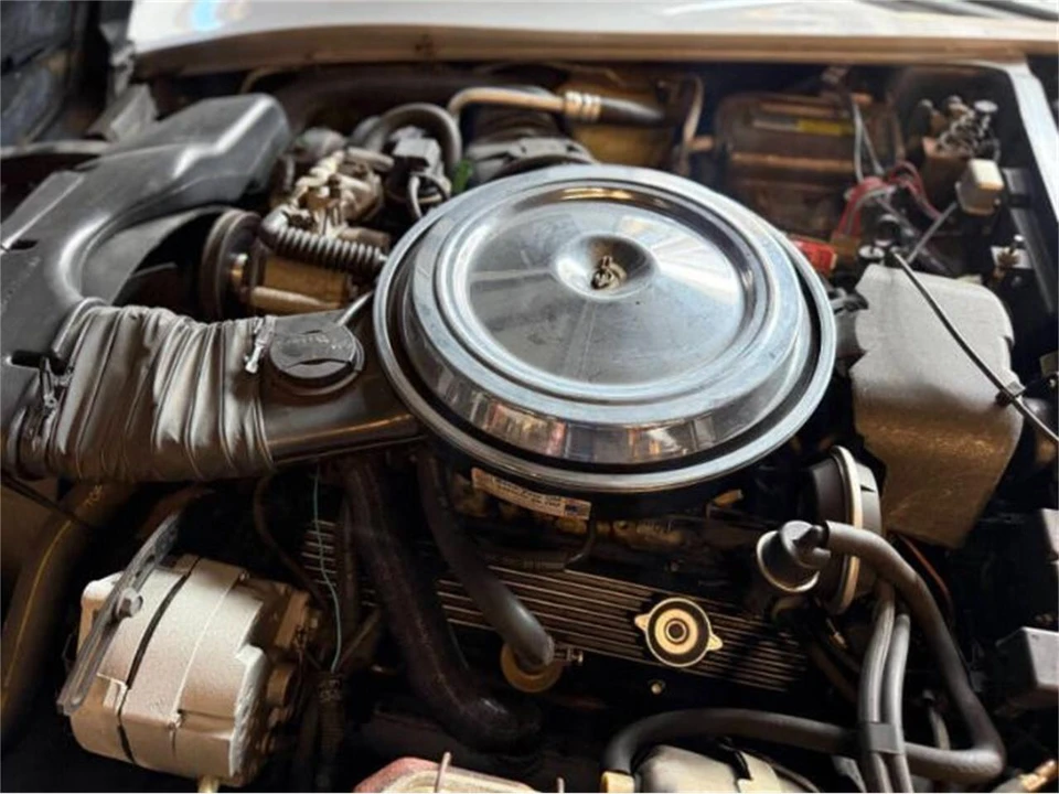 1981 Chevrolet Corvette C3 - Image 2 of 29