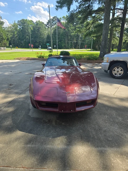 1981 Chevrolet Corvette C3 - Image 12 of 18