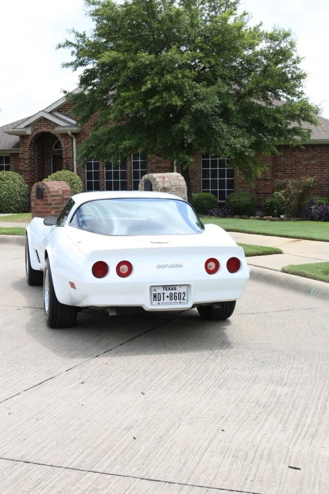 1981 Chevrolet Corvette C3 - Image 12 of 14