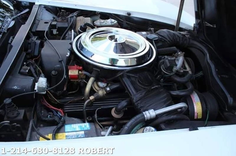 1981 Chevrolet Corvette C3 - Image 3 of 14