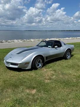 1981 Chevrolet Corvette C3 - Image 2 of 9