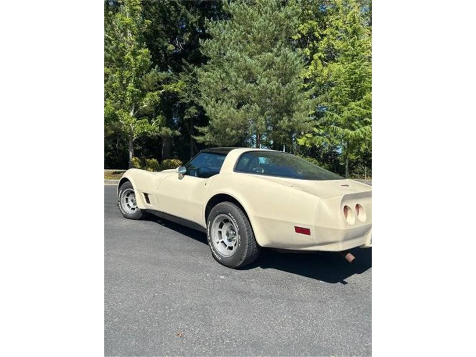1981 Chevrolet Corvette C3 - Image 10 of 15