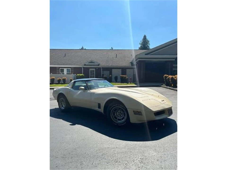 1981 Chevrolet Corvette C3 - Image 13 of 15
