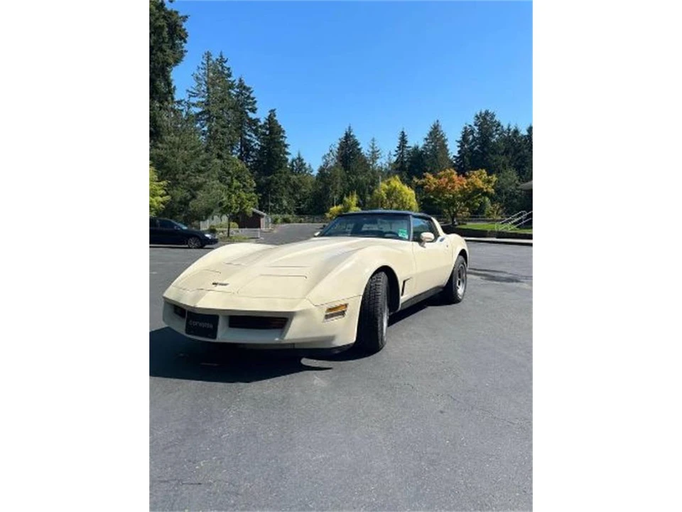 1981 Chevrolet Corvette C3 - Image 12 of 15
