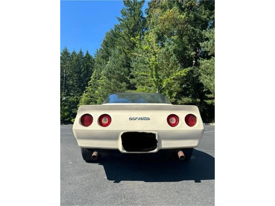 1981 Chevrolet Corvette C3 - Image 14 of 15