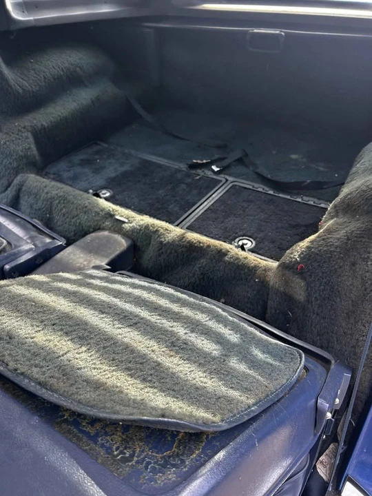 1981 Chevrolet Corvette C3 - Image 11 of 13