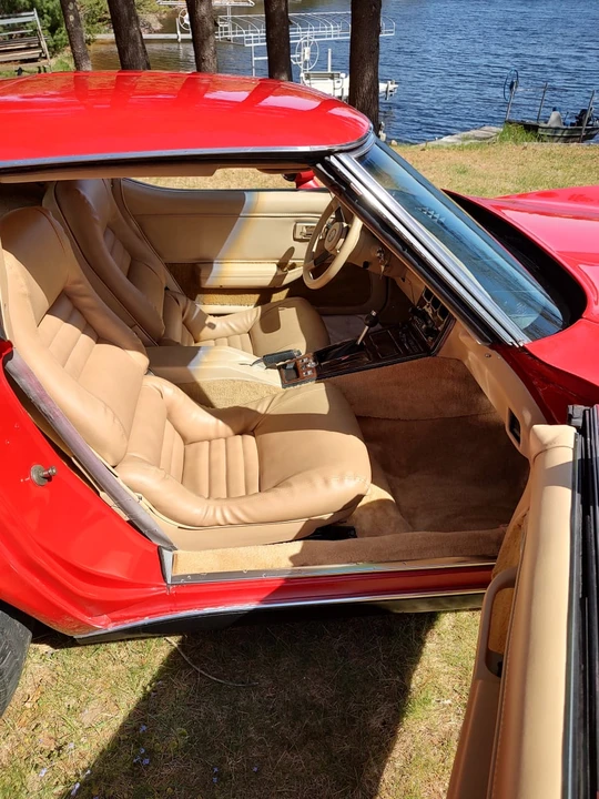 1981 Chevrolet Corvette C3 - Image 12 of 15