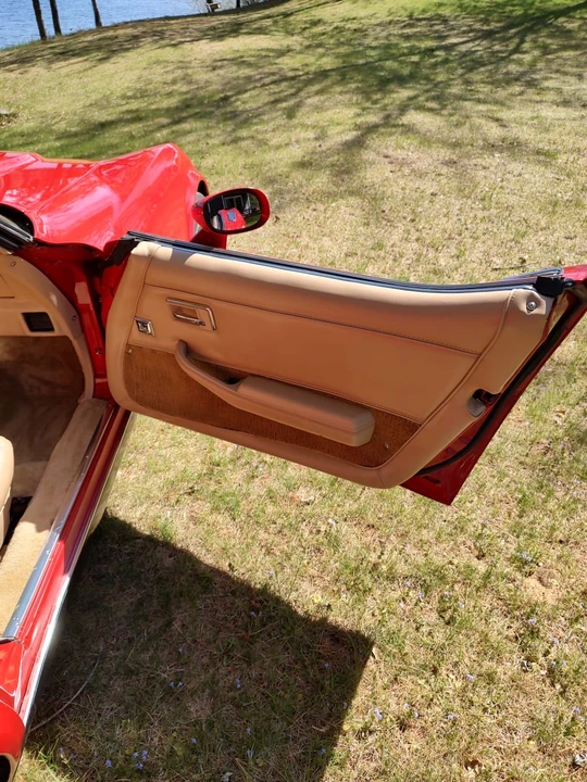1981 Chevrolet Corvette C3 - Image 14 of 15