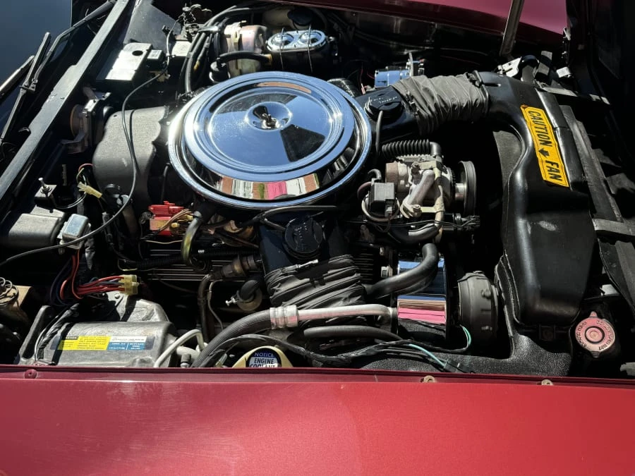 1981 Chevrolet Corvette C3 - Image 8 of 9