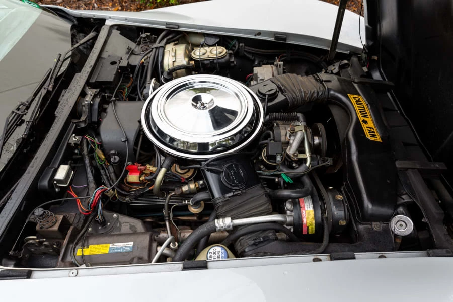 1981 Chevrolet Corvette C3 - Image 23 of 25