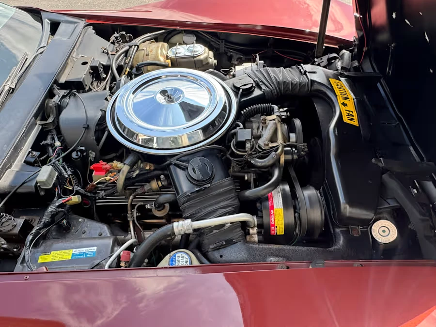 1981 Chevrolet Corvette C3 - Image 20 of 25