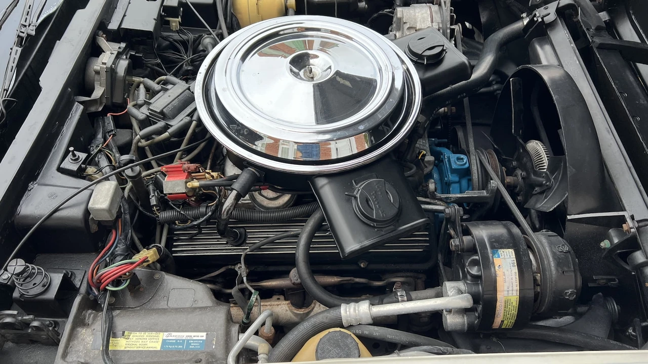 1981 Chevrolet Corvette C3 - Image 6 of 7