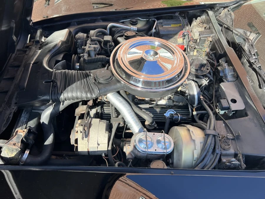 1981 Chevrolet Corvette C3 - Image 6 of 7