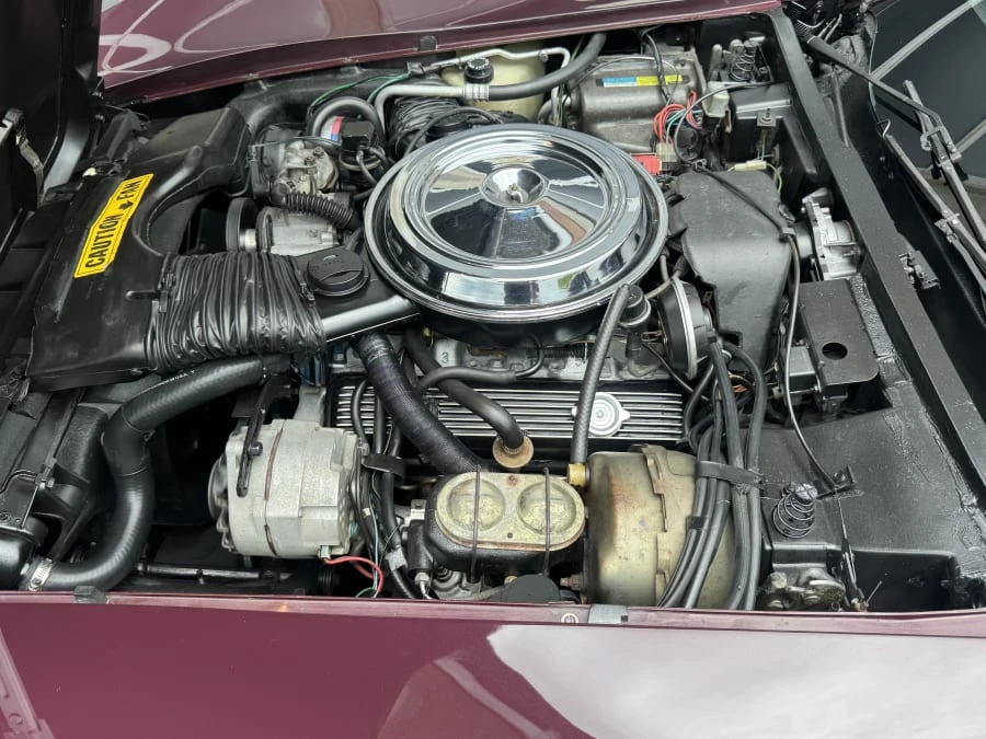 1981 Chevrolet Corvette C3 - Image 8 of 9