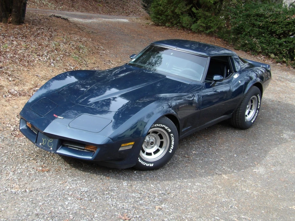 1981 Chevrolet Corvette C3 - Image 19 of 21