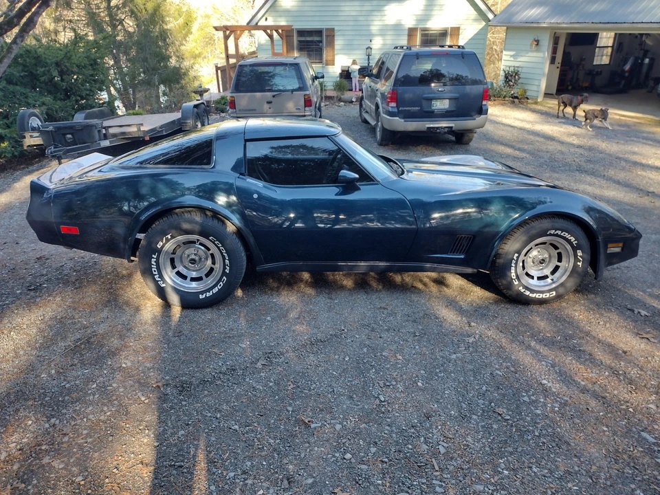 1981 Chevrolet Corvette C3 - Image 9 of 21