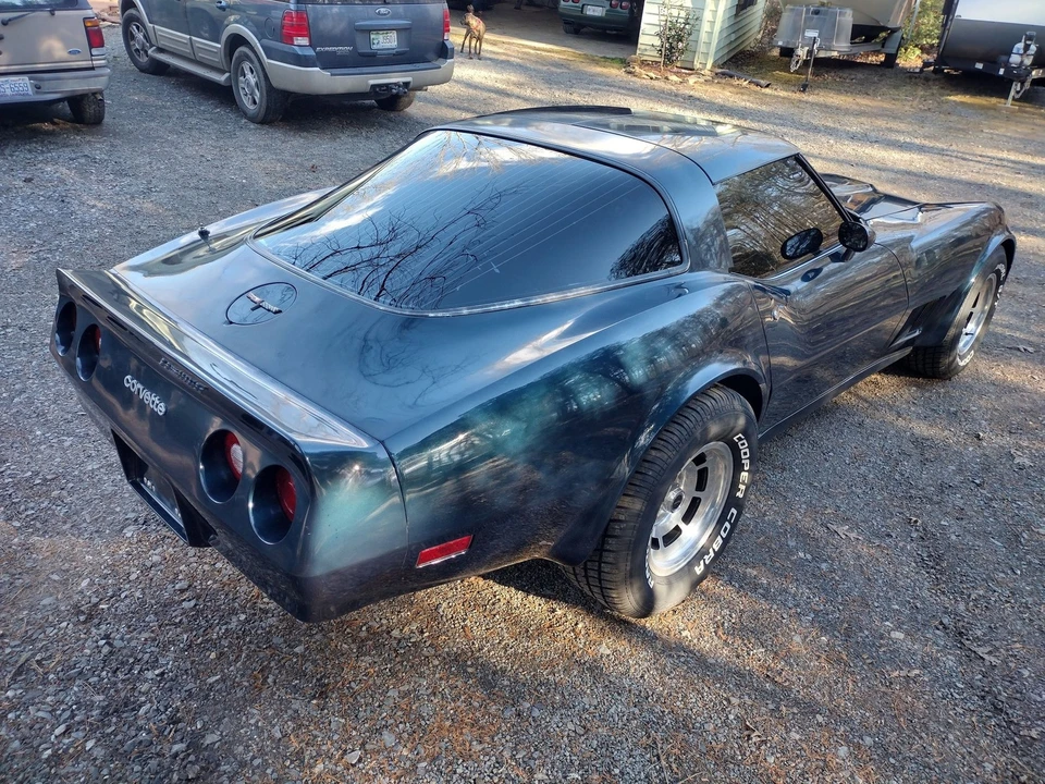 1981 Chevrolet Corvette C3 - Image 8 of 21
