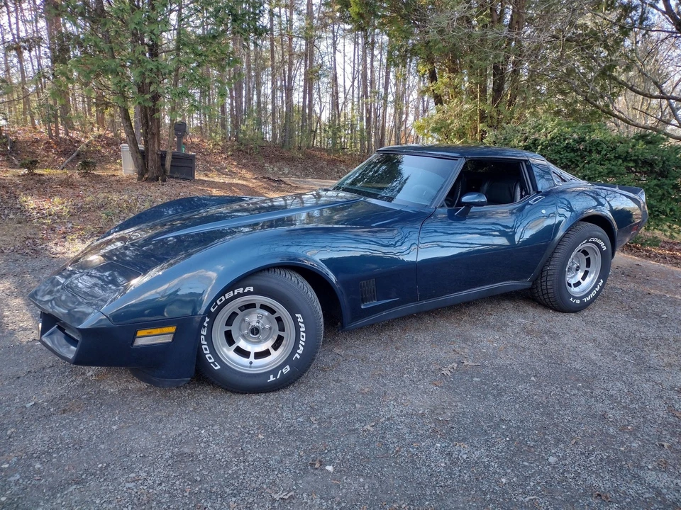 1981 Chevrolet Corvette C3 - Image 15 of 21