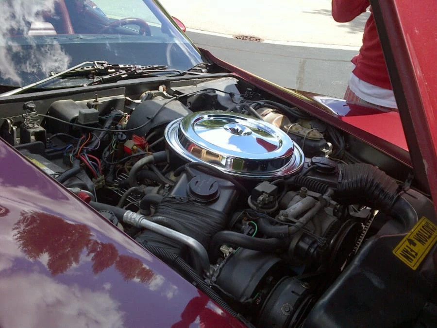 1981 Chevrolet Corvette C3 - Image 6 of 7