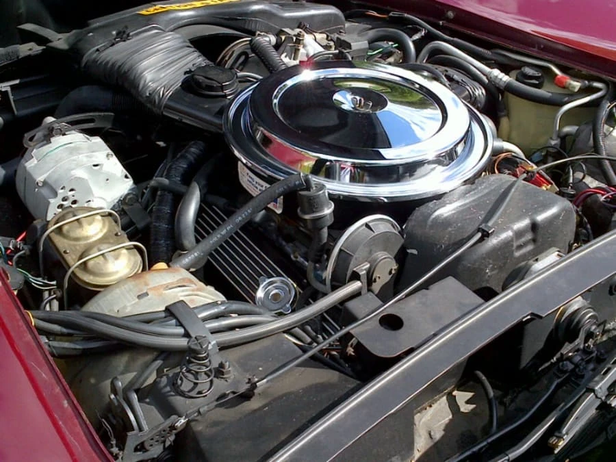 1981 Chevrolet Corvette C3 - Image 7 of 7
