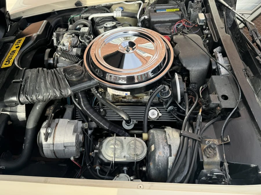 1981 Chevrolet Corvette C3 - Image 10 of 11