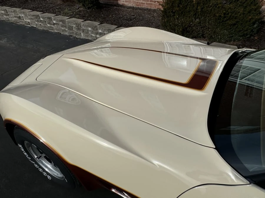 1981 Chevrolet Corvette C3 - Image 4 of 11