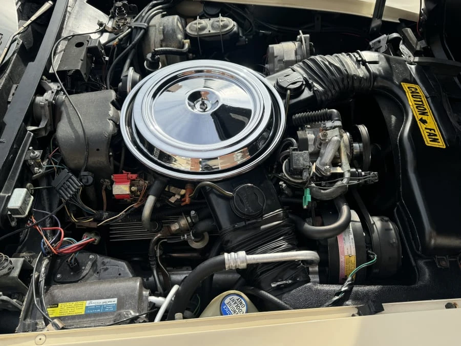 1981 Chevrolet Corvette C3 - Image 11 of 11