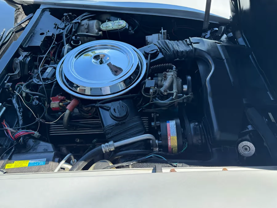 1981 Chevrolet Corvette C3 - Image 13 of 13