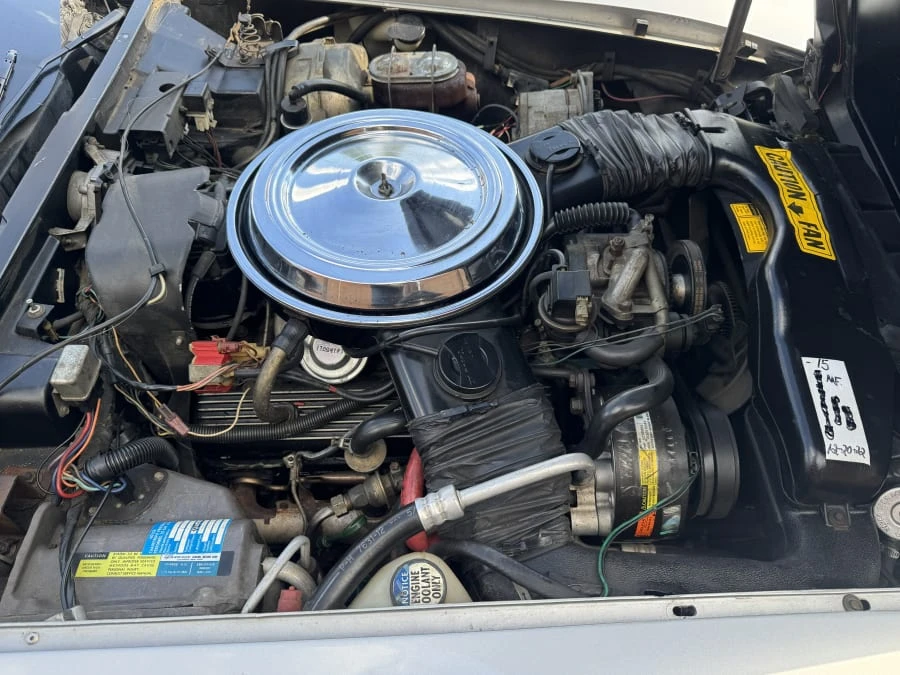 1981 Chevrolet Corvette C3 - Image 6 of 7