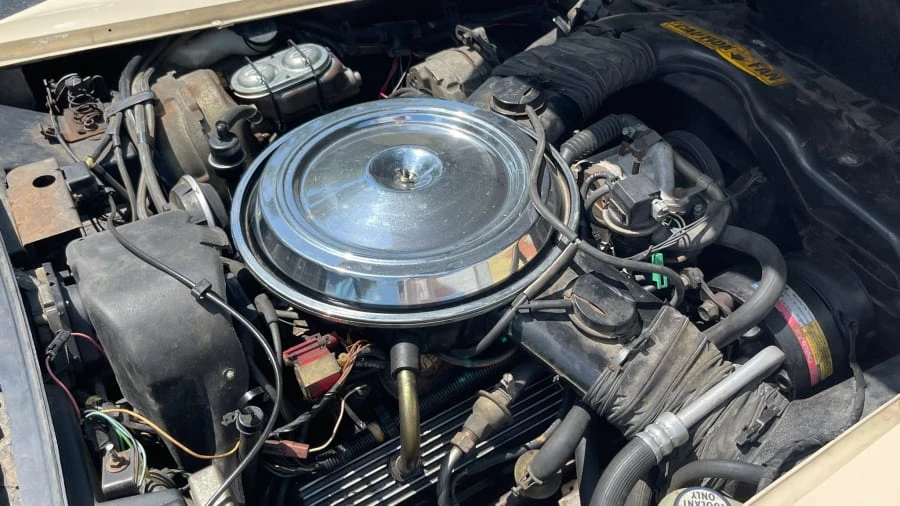 1981 Chevrolet Corvette C3 - Image 10 of 11