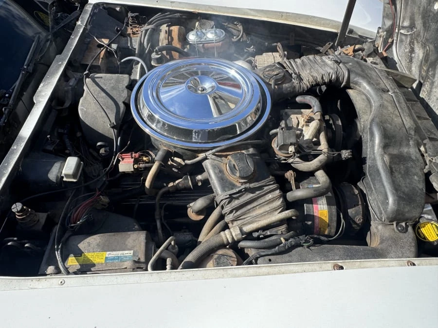 1981 Chevrolet Corvette C3 - Image 6 of 7