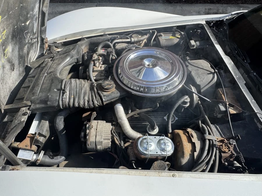 1981 Chevrolet Corvette C3 - Image 7 of 7