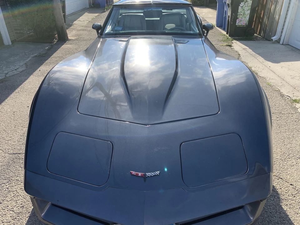 1981 Chevrolet Corvette C3 - Image 19 of 19