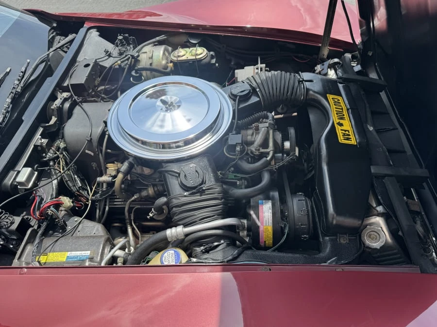 1981 Chevrolet Corvette C3 - Image 13 of 13