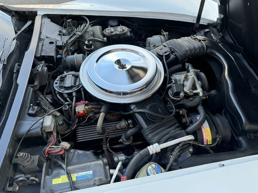 1981 Chevrolet Corvette C3 - Image 10 of 10