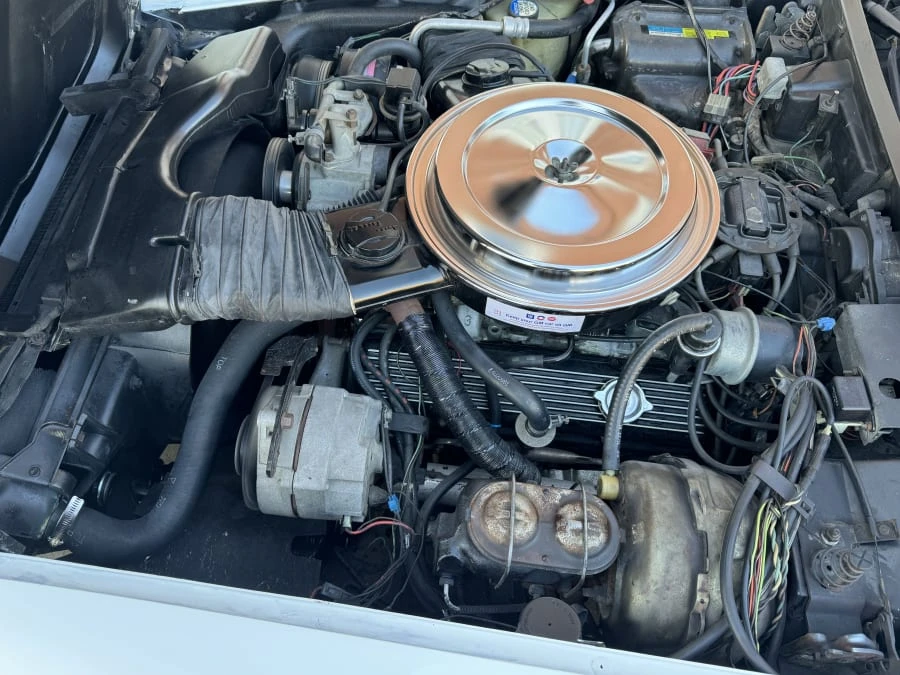 1981 Chevrolet Corvette C3 - Image 9 of 10