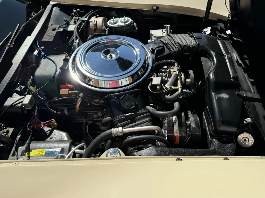 1981 Chevrolet Corvette C3 - Image 8 of 8
