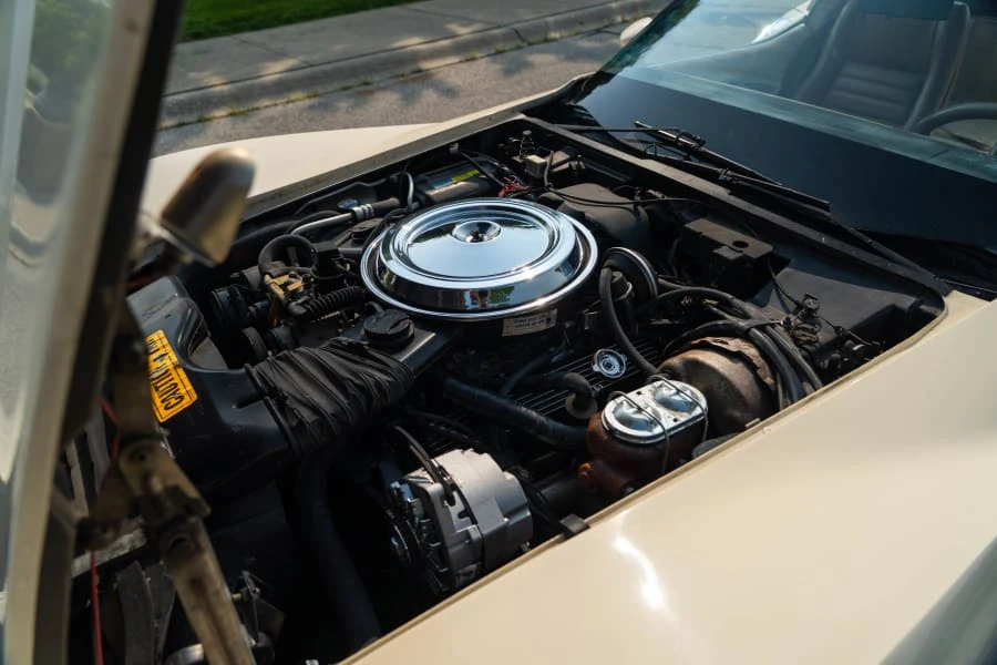 1981 Chevrolet Corvette C3 - Image 14 of 15